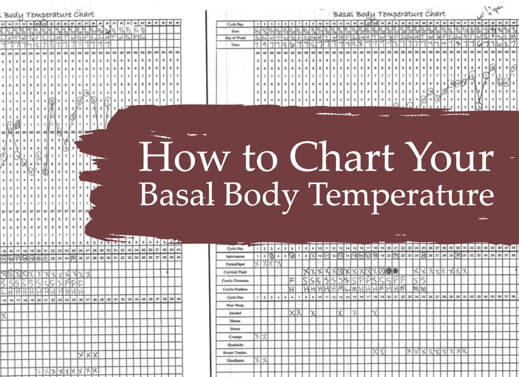 Do You Know Your Most Fertile Times? How to Chart ...