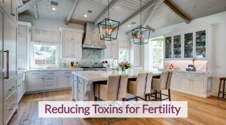 Picture of a kitchen with the words Reducing Toxins for Fertility across the bottom